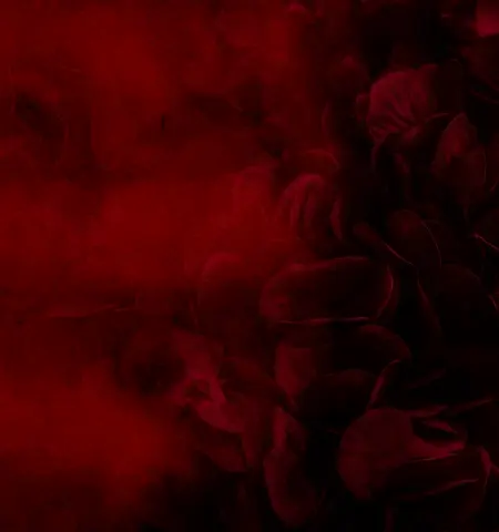 fondo pie de página mamazzita