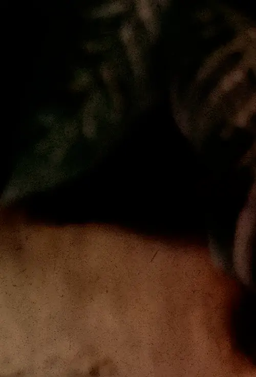 fondo