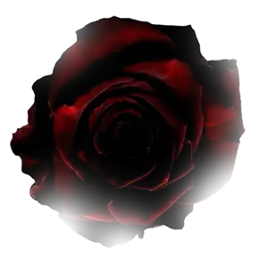 Decorative rose