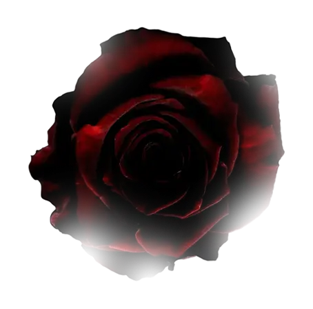 Decorative rose