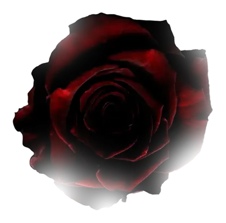 Decorative rose